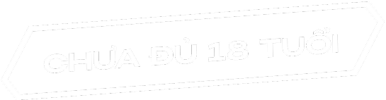 Chưa đủ 18 tuổi